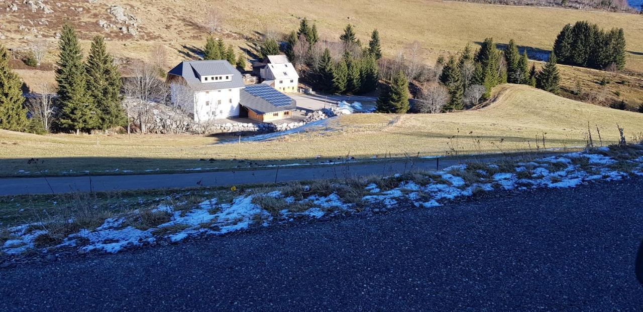 Ferienwohnung Natururlaub Muggenbrunn Todtnau Buitenkant foto