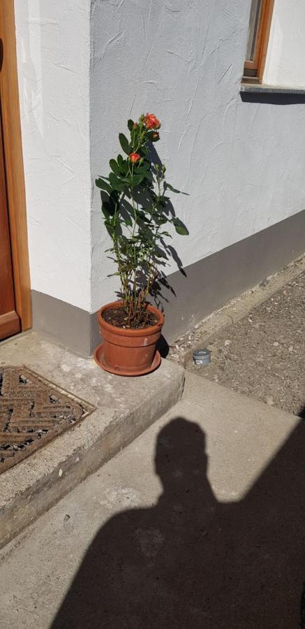 Ferienwohnung Natururlaub Muggenbrunn Todtnau Buitenkant foto