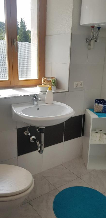 Ferienwohnung Natururlaub Muggenbrunn Todtnau Buitenkant foto