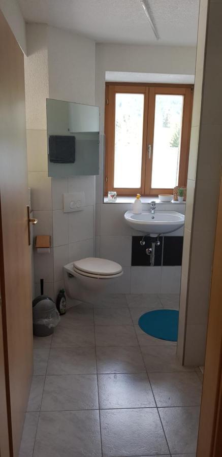 Ferienwohnung Natururlaub Muggenbrunn Todtnau Buitenkant foto