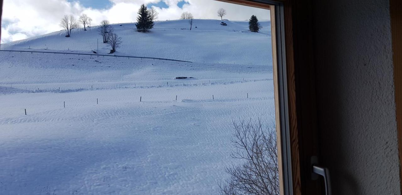 Ferienwohnung Natururlaub Muggenbrunn Todtnau Buitenkant foto