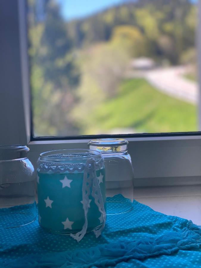 Ferienwohnung Natururlaub Muggenbrunn Todtnau Buitenkant foto
